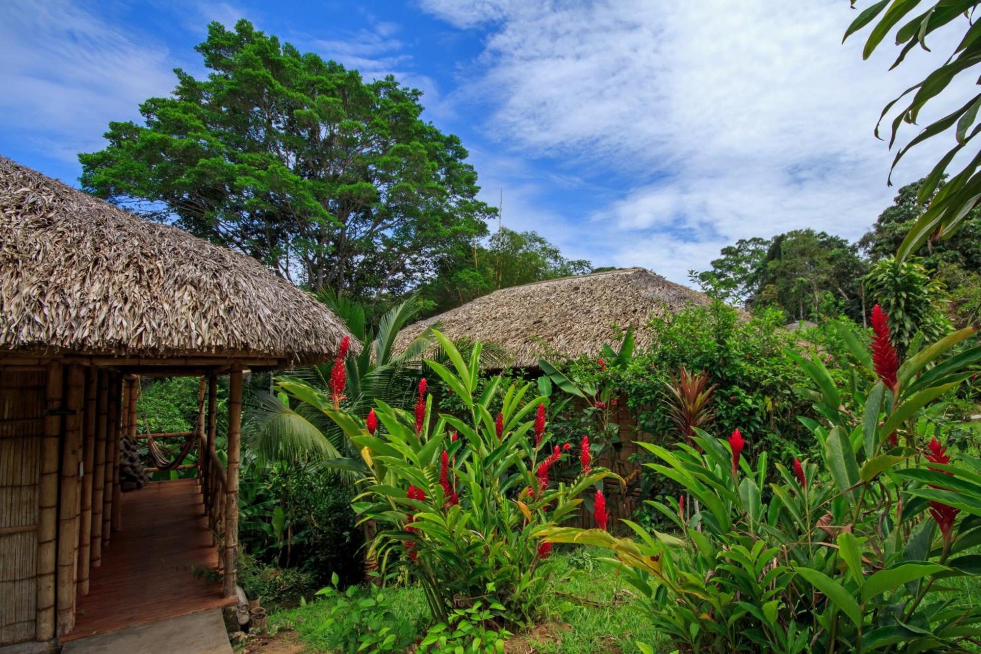 La Selva Eco-Lodge & Retreat Providencia Exterior photo