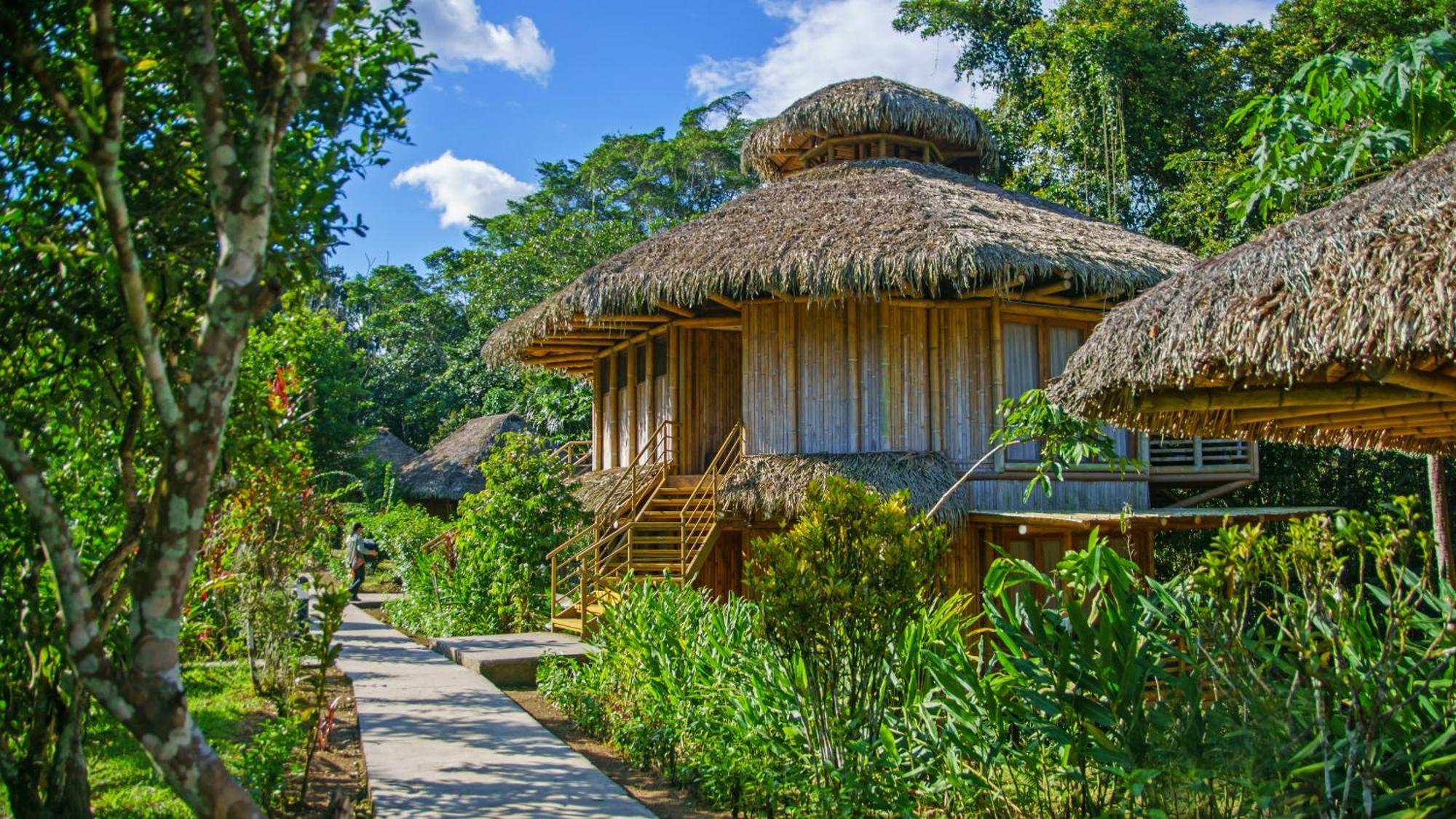 La Selva Eco-Lodge & Retreat Providencia Exterior photo